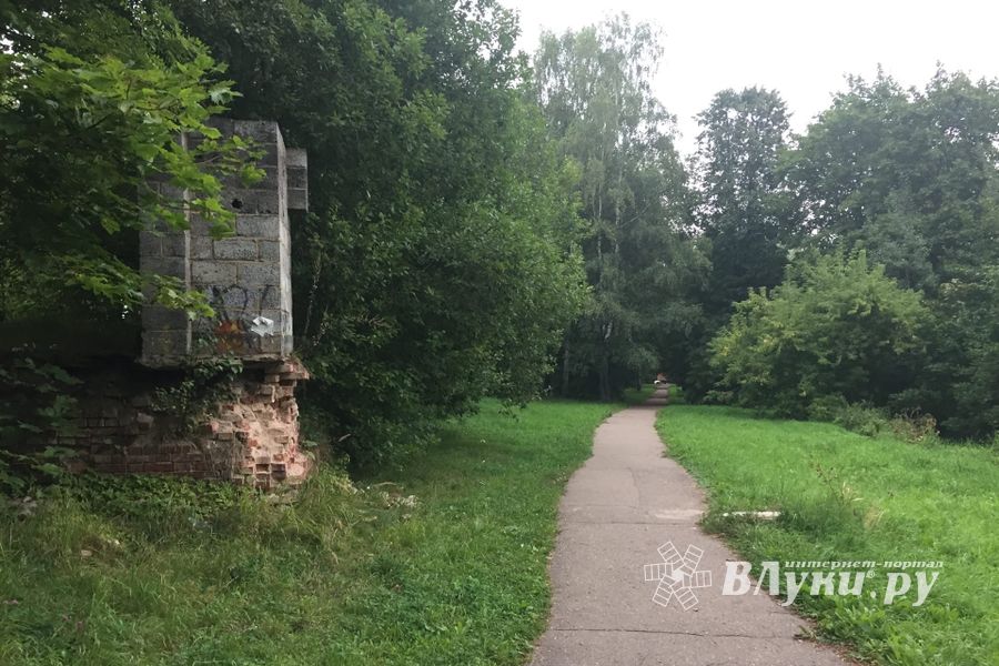 Великолучанам предлагают обходить улицу Евгения Клевцова (ФОТО)