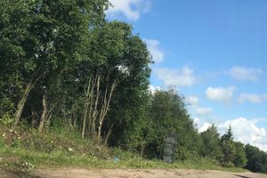 Дачников Великих Лук порадовали районные дорожники (ФОТО)