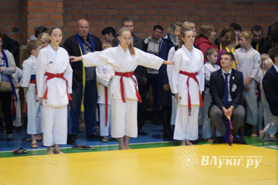 В Великих Луках прошли соревнования по каратэ (ФОТО)