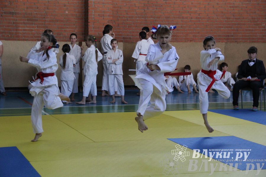 Турнир по каратэ