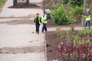 В Великих Луках сажают, стригут и красят (ФОТО)