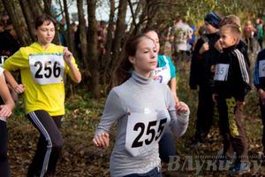 В Великих Луках прошел «Осенний кросс» 