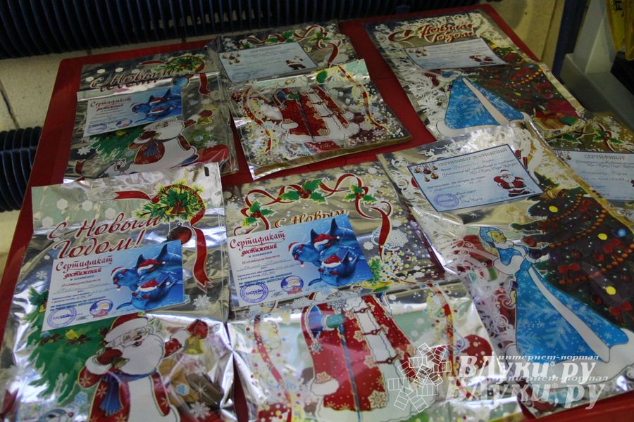 Юные великолучане соревновались за кубок Деда Мороза (фото)