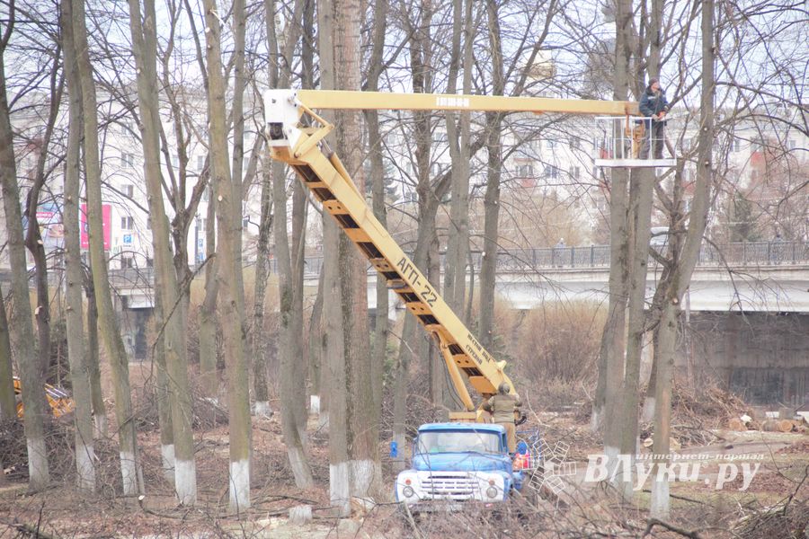 В городском парке орудует дробилка (ФОТО)