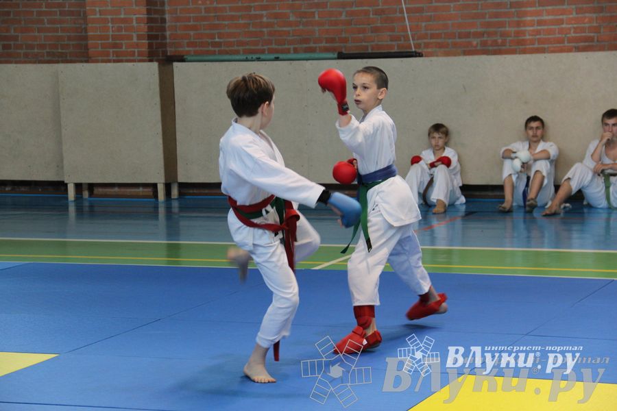 Турнир по каратэ «Неприкосновенный запас — дети Отчизны»