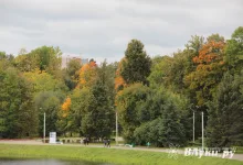 Сегодня в Великих Луках может быть небольшой дождь