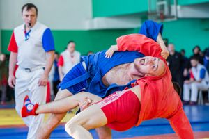 Фото: Александр Воробьев Великолучане завоевали награды Всероссийских соревнований по самбо