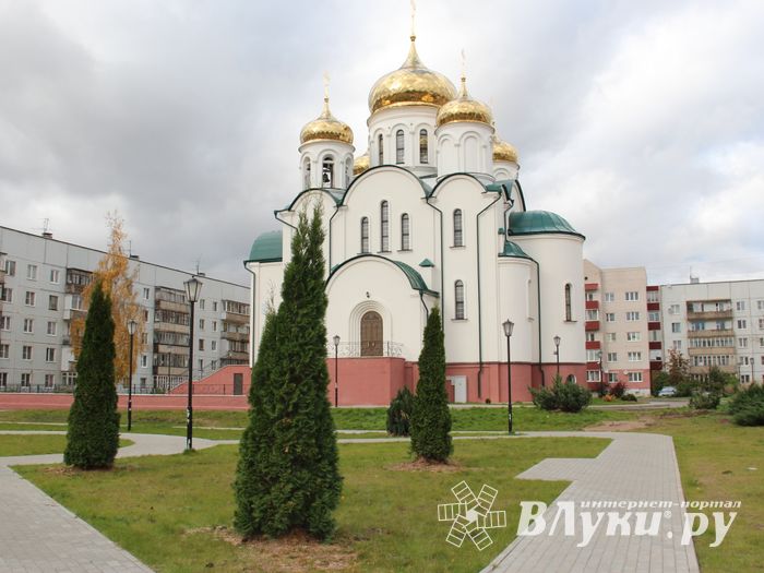 Куда исчезли пихты у Свято-Вознесенского собора в Великих Луках