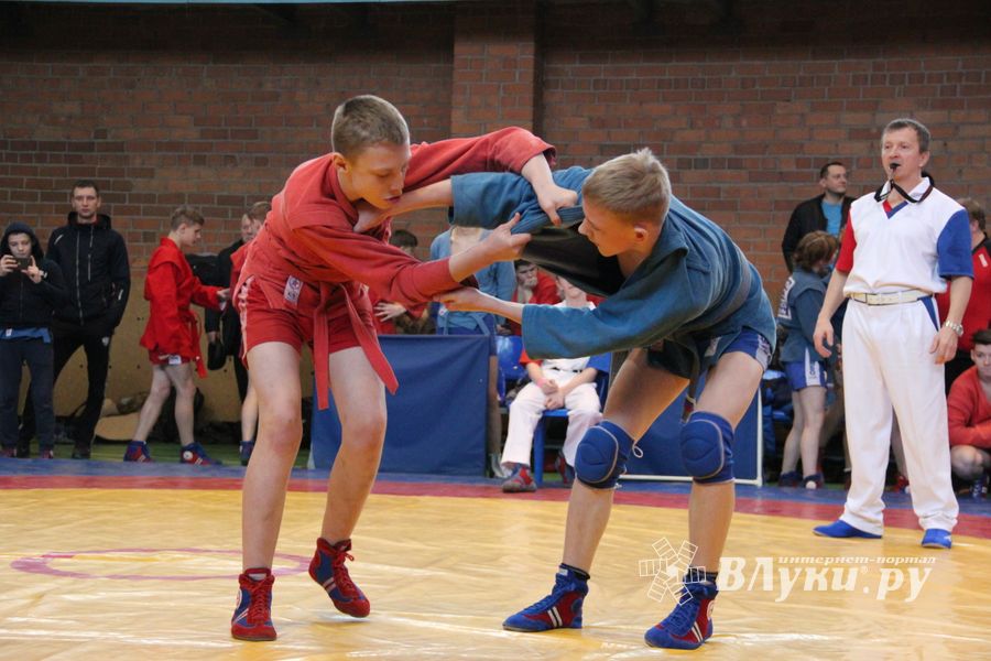 Великолукские самбисты завоевали 54 награды на Первенстве города (ФОТО)