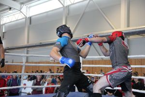 1-й Фестиваль боевых искусств состоялся в Великих Луках  (ФОТО)