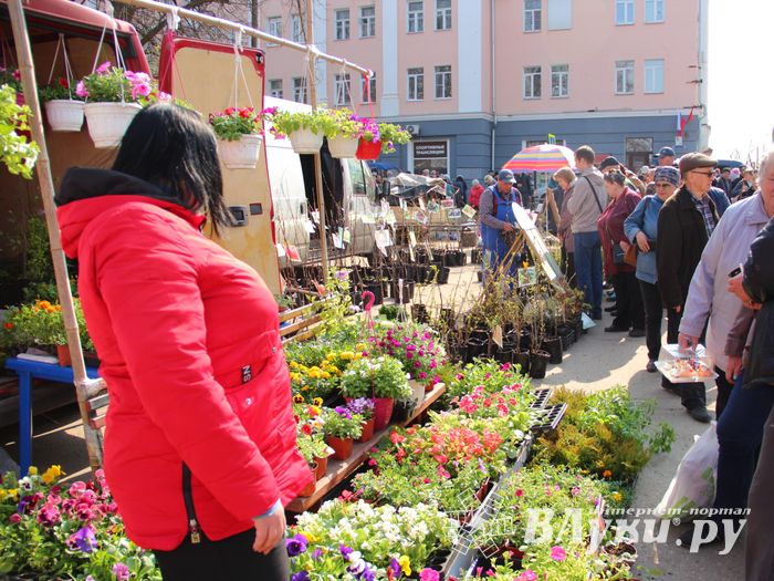 СТЦ «СтройСам» порадовал великолучан на универсальной ярмарке «Весна-2018» (ФОТО)