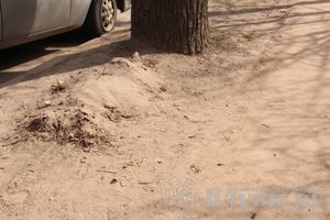 Великие Луки утопают в пыли и песке (фото)