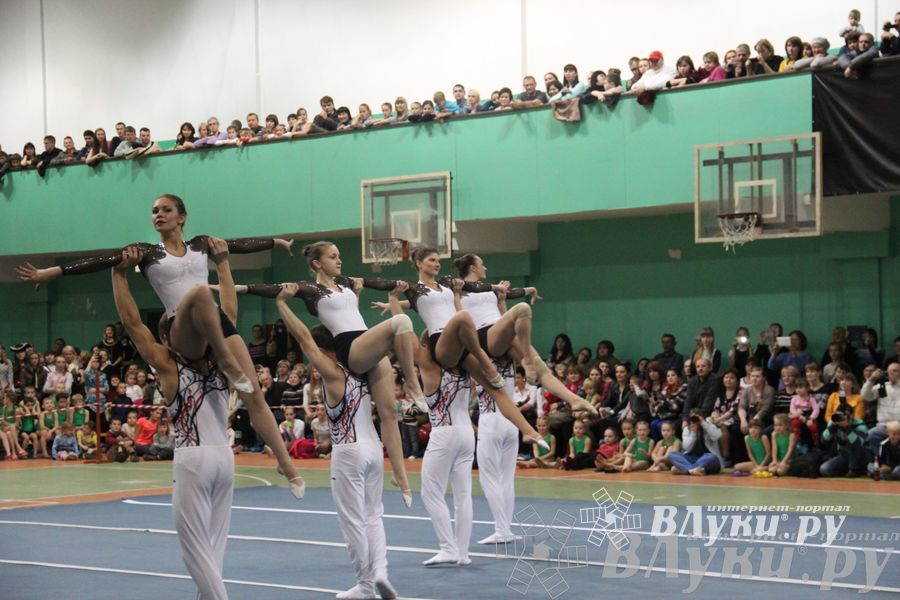 «Парад гимнастики» прошел в Великих Луках (фото)