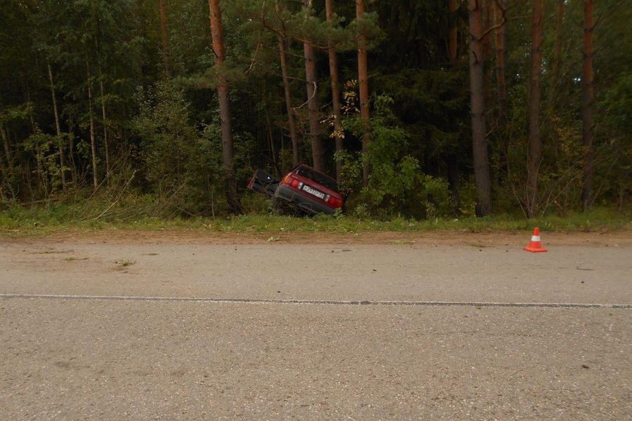 Смертельное ДТП произошло в Пушкиногорском районе (ФОТО)