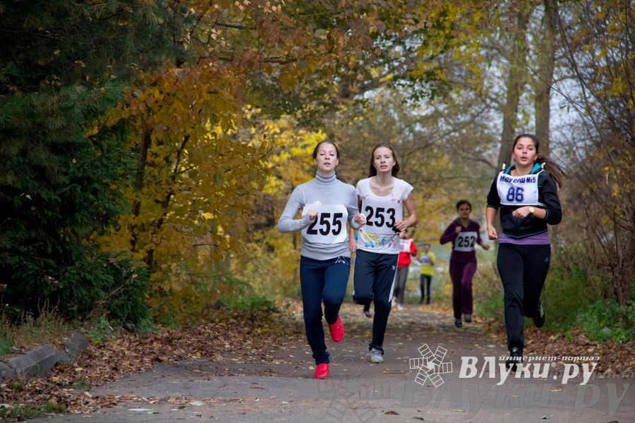 В Великих Луках прошел «Осенний кросс» 