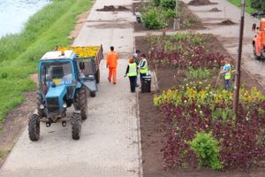 В Великих Луках сажают, стригут и красят (ФОТО)
