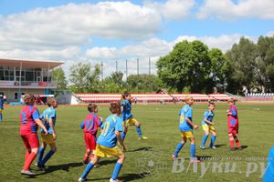 «Локобол-2013» в Великих Луках