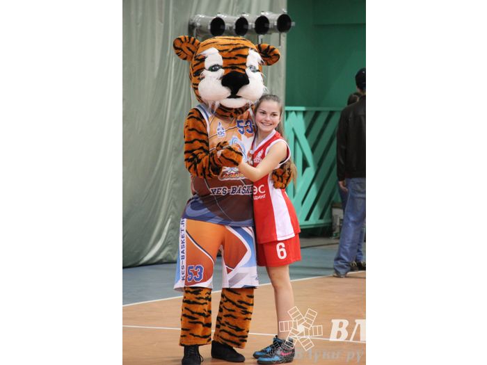 Чемпионат ШБЛ «КЭС-БАСКЕТ» сезона 2013-2014 гг. Псковской области