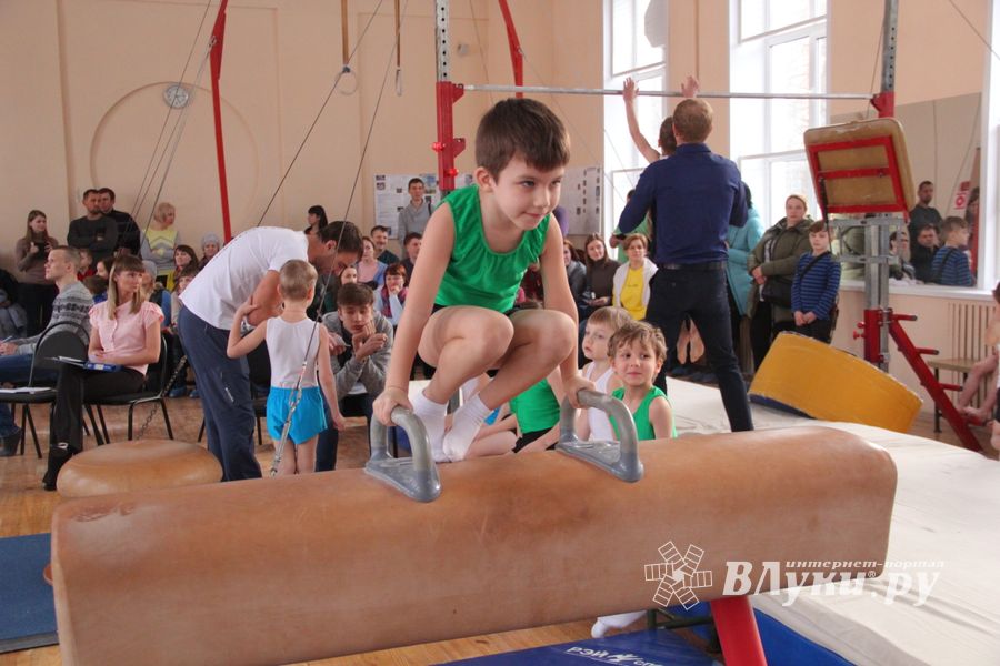 В ДЮСШ «Атлетика» прошли соревнования по спортивной гимнастике (ФОТО)
