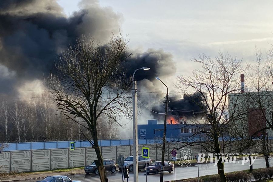 Очевидцы о новых подробностях пожара на заводе ЗЭТО (ФОТО; ВИДЕО)