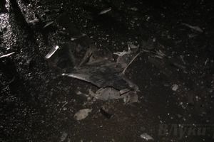 В Великих Луках столкнулись «ВАЗ 2115» и «Ауди А5» (ФОТО)