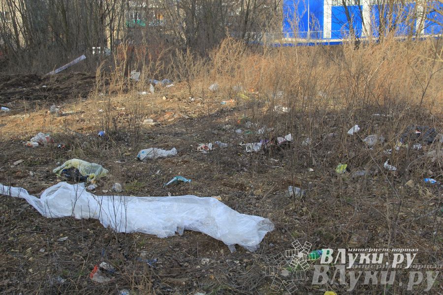 Город в ожидании субботника