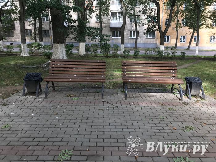 Парк Пушкина: «... А вкруг меня глухое запустенье...» (ФОТО)