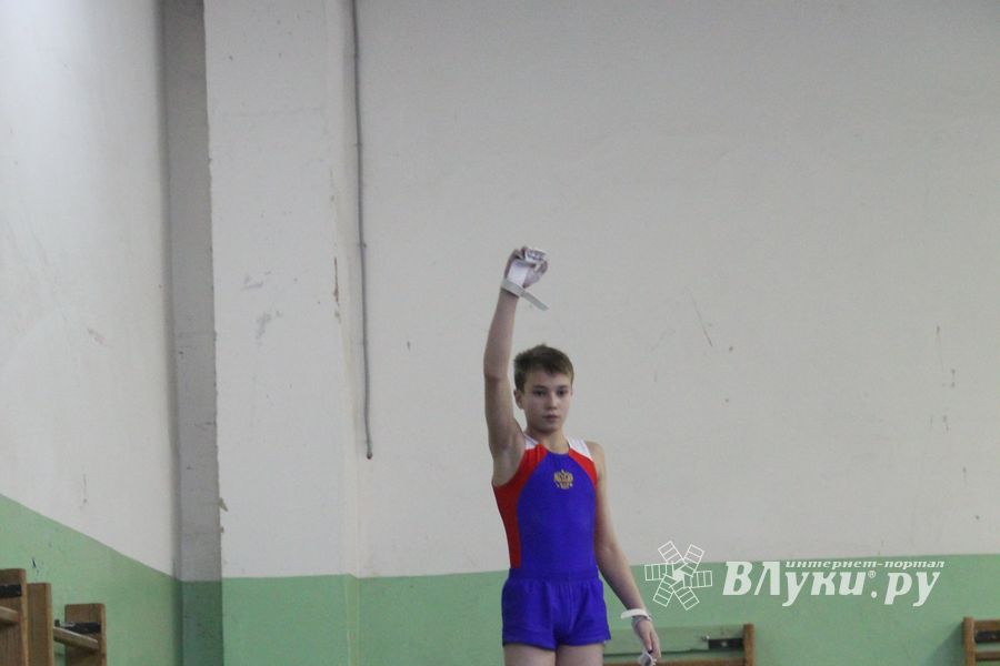 В Великих Луках прошло Первенство Области по спортивной гимнастики (фото)