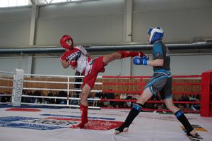 Открытый кубок по смешанному боевому единоборству ММА прошел в Великих Луках (ФОТО)