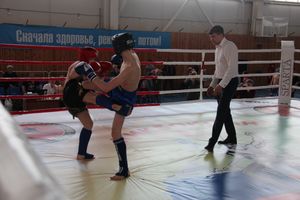 В Великих Луках прошел Кубок области по кикбоксингу (ФОТО)