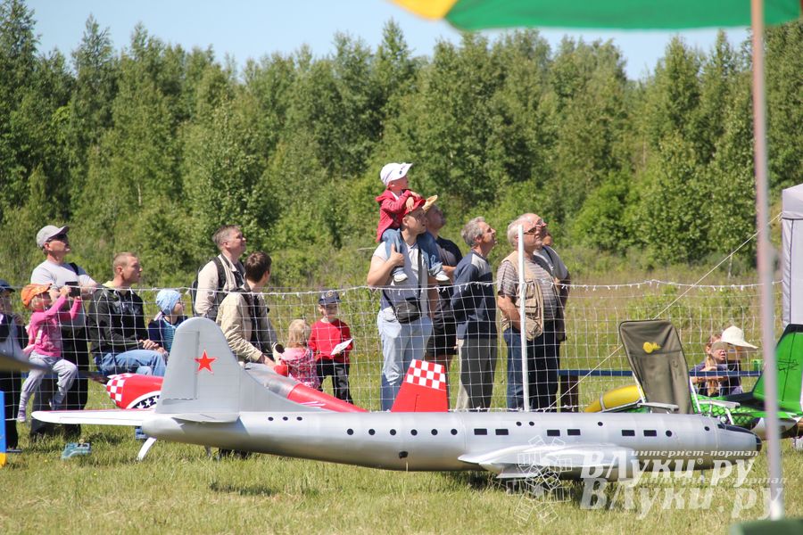 В Великих Луках прошел Фестиваль авиамодельного спорта (фото)