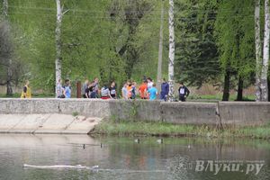 В Великих Луках прошла весенняя городская эстафета (фото)