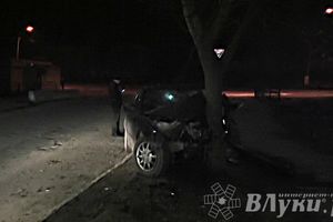 В Великих Луках водитель БМВ врезался в дерево (ФОТО)