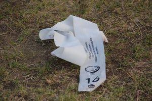 Аэростаты летают над городом (ФОТО)