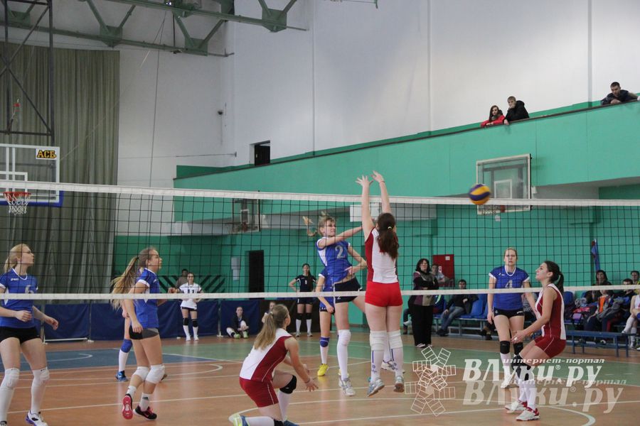 В Великих Луках прошли международные соревнования по волейболу (фото)