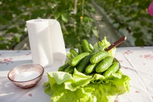 Андрей Турчак попробовал новый урожай огурцов (фото)