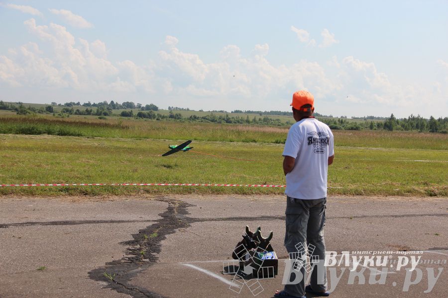 В Великих Луках прошли воздушные бои (фото)