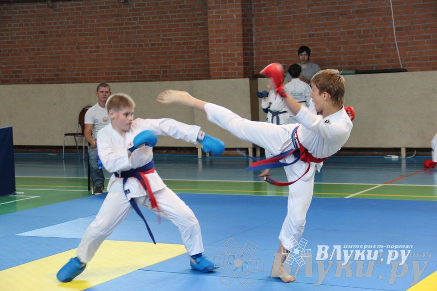 Турнир по каратэ «Неприкосновенный запас — дети Отчизны»