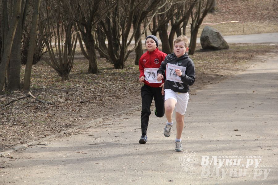 Лично-командный городской легкоатлетический весенний кросс