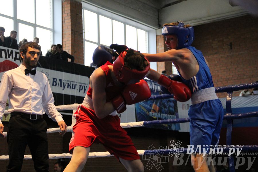 16-й Международный турнир по боксу (фото)