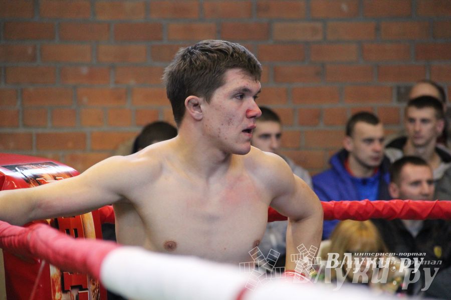 В Великих Луках прошел межрегиональный Открытый Кубок по смешанному боевому единоборству (фото)