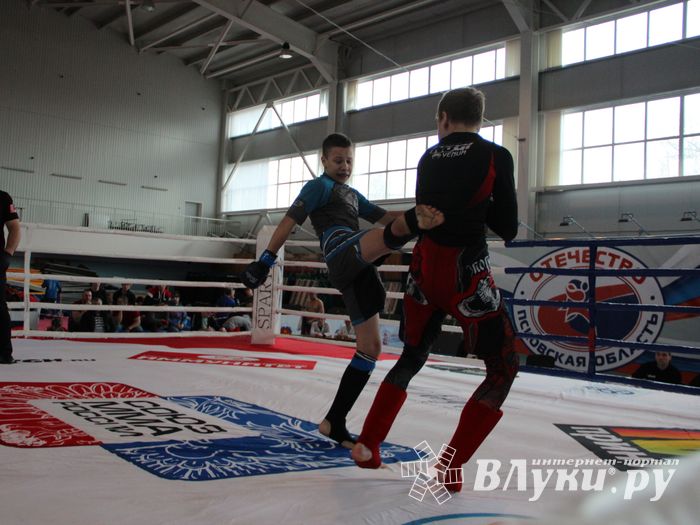 Открытый кубок по смешанному боевому единоборству ММА прошел в Великих Луках (ФОТО)