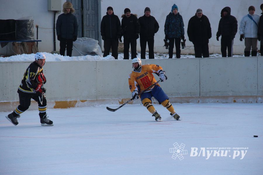 Великолукские хоккеисты разгромили гостей (фото)