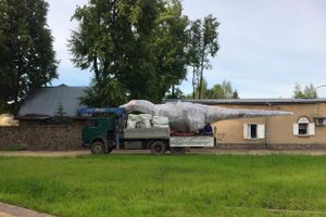 В Великие Луки завезли динозавров (ФОТО)