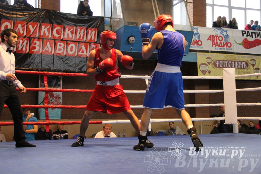16-й Международный турнир по боксу (фото)