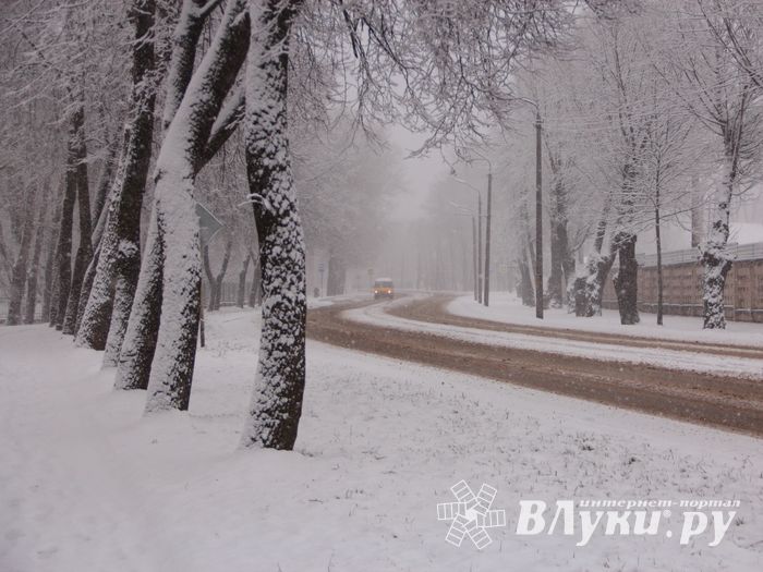 В Великих Луках снегопад и «день жестянщика» (фото)