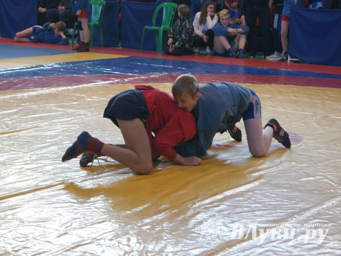 Великолучане завоевали призовые места на турнире по самбо «Память» (ФОТО)