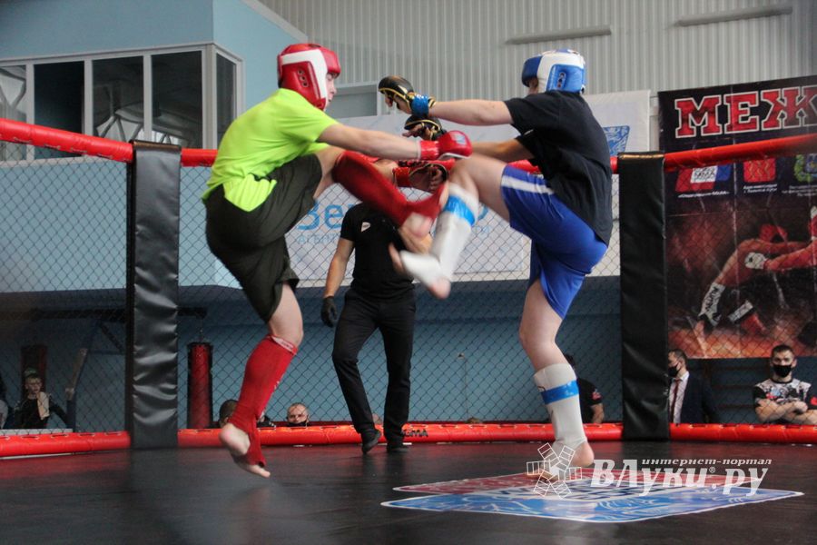 В Великих Луках прошел кубок по смешанному боевому единоборству (ФОТО)