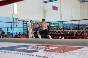Чемпионат Псковской области по ММА