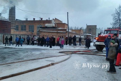 В Великих Луках сгорел автосервис (фото)